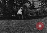 Image of lion cubs Petaluma California USA, 1929, second 32 stock footage video 65675050356