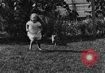 Image of lion cubs Petaluma California USA, 1929, second 33 stock footage video 65675050356