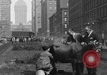 Image Traite une vache à New York New York City USA, 1929, de la seconde 3 séquences d'archives historiques vidéo 65675050358
