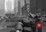 Image Traite une vache à New York New York City USA, 1929, de la seconde 5 séquences d'archives historiques vidéo 65675050358