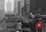 Image Traite une vache à New York New York City USA, 1929, de la seconde 6 séquences d'archives historiques vidéo 65675050358