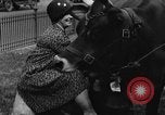 Image Traite une vache à New York New York City USA, 1929, de la seconde 7 séquences d'archives historiques vidéo 65675050358