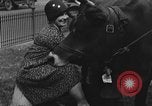 Image Traite une vache à New York New York City USA, 1929, de la seconde 9 séquences d'archives historiques vidéo 65675050358