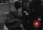 Image Traite une vache à New York New York City USA, 1929, de la seconde 10 séquences d'archives historiques vidéo 65675050358