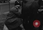 Image Traite une vache à New York New York City USA, 1929, de la seconde 12 séquences d'archives historiques vidéo 65675050358