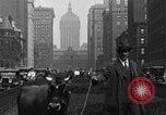 Image Traite une vache à New York New York City USA, 1929, de la seconde 21 séquences d'archives historiques vidéo 65675050358