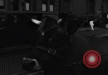 Image Traite une vache à New York New York City USA, 1929, de la seconde 23 séquences d'archives historiques vidéo 65675050358