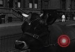 Image Traite une vache à New York New York City USA, 1929, de la seconde 25 séquences d'archives historiques vidéo 65675050358