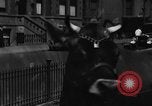 Image Traite une vache à New York New York City USA, 1929, de la seconde 27 séquences d'archives historiques vidéo 65675050358