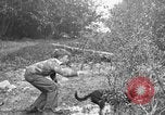 Standbild Fang den Fisch Hund Washington State United States USA, 1929, aus Sekunde 3 historischem Filmmaterial Videoclip 65675050359