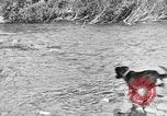 Standbild Fang den Fisch Hund Washington State United States USA, 1929, aus Sekunde 4 historischem Filmmaterial Videoclip 65675050359