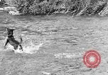 Standbild Fang den Fisch Hund Washington State United States USA, 1929, aus Sekunde 5 historischem Filmmaterial Videoclip 65675050359