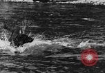 Standbild Fang den Fisch Hund Washington State United States USA, 1929, aus Sekunde 12 historischem Filmmaterial Videoclip 65675050359