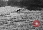 Standbild Fang den Fisch Hund Washington State United States USA, 1929, aus Sekunde 18 historischem Filmmaterial Videoclip 65675050359