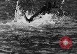 Standbild Fang den Fisch Hund Washington State United States USA, 1929, aus Sekunde 21 historischem Filmmaterial Videoclip 65675050359