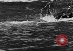 Standbild Fang den Fisch Hund Washington State United States USA, 1929, aus Sekunde 22 historischem Filmmaterial Videoclip 65675050359