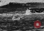 Standbild Fang den Fisch Hund Washington State United States USA, 1929, aus Sekunde 24 historischem Filmmaterial Videoclip 65675050359