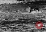 Standbild Fang den Fisch Hund Washington State United States USA, 1929, aus Sekunde 25 historischem Filmmaterial Videoclip 65675050359