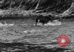 Standbild Fang den Fisch Hund Washington State United States USA, 1929, aus Sekunde 28 historischem Filmmaterial Videoclip 65675050359