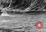 Standbild Fang den Fisch Hund Washington State United States USA, 1929, aus Sekunde 29 historischem Filmmaterial Videoclip 65675050359
