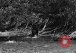 Standbild Fang den Fisch Hund Washington State United States USA, 1929, aus Sekunde 34 historischem Filmmaterial Videoclip 65675050359