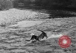 Standbild Fang den Fisch Hund Washington State United States USA, 1929, aus Sekunde 40 historischem Filmmaterial Videoclip 65675050359