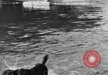 Standbild Fang den Fisch Hund Washington State United States USA, 1929, aus Sekunde 47 historischem Filmmaterial Videoclip 65675050359