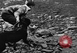 Standbild Fang den Fisch Hund Washington State United States USA, 1929, aus Sekunde 51 historischem Filmmaterial Videoclip 65675050359