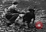 Standbild Fang den Fisch Hund Washington State United States USA, 1929, aus Sekunde 52 historischem Filmmaterial Videoclip 65675050359