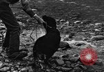 Standbild Fang den Fisch Hund Washington State United States USA, 1929, aus Sekunde 53 historischem Filmmaterial Videoclip 65675050359