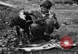 Standbild Fang den Fisch Hund Washington State United States USA, 1929, aus Sekunde 55 historischem Filmmaterial Videoclip 65675050359