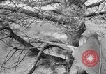 Image of Russian Guerrillas Western Russia, 1944, second 18 stock footage video 65675050363
