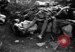 Immagine di Assassinato belgi Stavelot Belgio, 1944, secondo 18 filmato di repertorio 65675050383