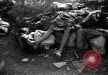 Immagine di Assassinato belgi Stavelot Belgio, 1944, secondo 19 filmato di repertorio 65675050383