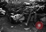 Immagine di Assassinato belgi Stavelot Belgio, 1944, secondo 21 filmato di repertorio 65675050383