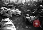 Immagine di Assassinato belgi Stavelot Belgio, 1944, secondo 22 filmato di repertorio 65675050383