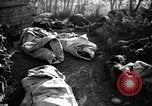 Immagine di Assassinato belgi Stavelot Belgio, 1944, secondo 23 filmato di repertorio 65675050383
