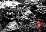 Immagine di Assassinato belgi Stavelot Belgio, 1944, secondo 24 filmato di repertorio 65675050383