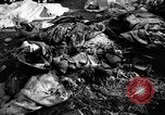 Immagine di Assassinato belgi Stavelot Belgio, 1944, secondo 25 filmato di repertorio 65675050383