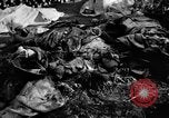Immagine di Assassinato belgi Stavelot Belgio, 1944, secondo 26 filmato di repertorio 65675050383