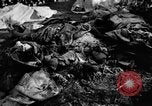 Immagine di Assassinato belgi Stavelot Belgio, 1944, secondo 27 filmato di repertorio 65675050383