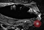 Immagine di Assassinato belgi Stavelot Belgio, 1944, secondo 28 filmato di repertorio 65675050383