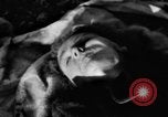 Immagine di Assassinato belgi Stavelot Belgio, 1944, secondo 31 filmato di repertorio 65675050383
