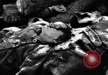 Immagine di Assassinato belgi Stavelot Belgio, 1944, secondo 35 filmato di repertorio 65675050383