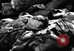 Immagine di Assassinato belgi Stavelot Belgio, 1944, secondo 36 filmato di repertorio 65675050383