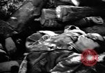 Immagine di Assassinato belgi Stavelot Belgio, 1944, secondo 37 filmato di repertorio 65675050383