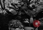 Immagine di Assassinato belgi Stavelot Belgio, 1944, secondo 38 filmato di repertorio 65675050383