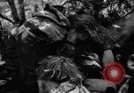 Immagine di Assassinato belgi Stavelot Belgio, 1944, secondo 39 filmato di repertorio 65675050383