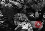Immagine di Assassinato belgi Stavelot Belgio, 1944, secondo 42 filmato di repertorio 65675050383