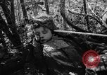 Immagine di Assassinato belgi Stavelot Belgio, 1944, secondo 43 filmato di repertorio 65675050383